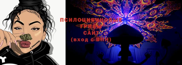 MDMA Няндома